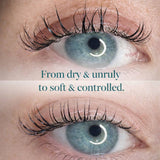 Lash & Brow Mask Nº6