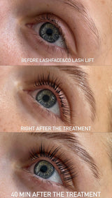 Lash and Brow Lift Course