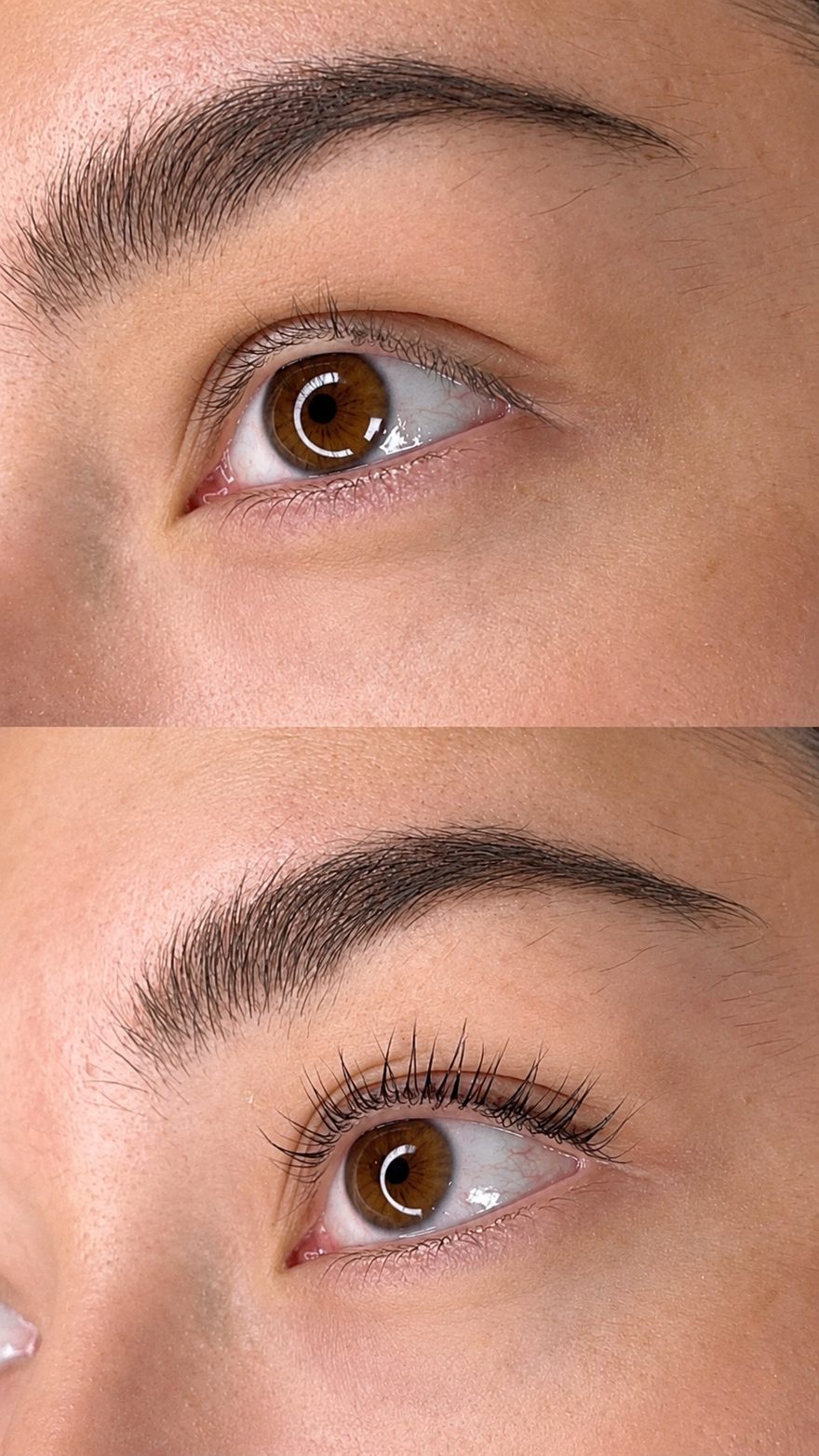 Före och efter brow lift och lash lift — elevs första försök under utbildningen